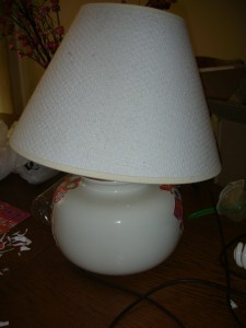 DSCN2575