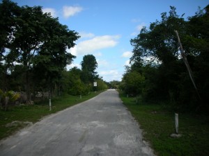 DSCN2953