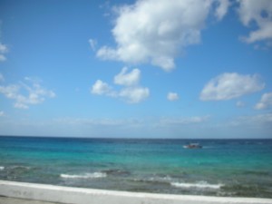 DSCN2969
