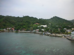 DSCN2991