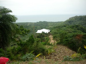 DSCN3003